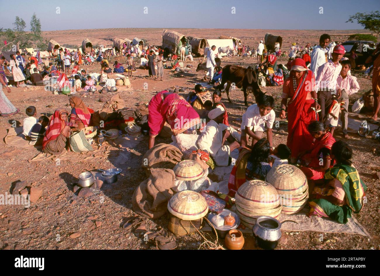 Inde : préparation du repas du soir dans un camp de pèlerins, fête de Poornima, près du temple Yellamma, Saundatti, Karnataka (1994). Chaque année dans le mois hindou de Magh (janvier - février) plus d'un demi-million de personnes se rassemblent autour du minuscule temple de la déesse Yellamma à Saundatti. Yellamma est la patronne des devadasi ou des femmes dédiées au service d'une divinité ou d'un temple. Banque D'Images