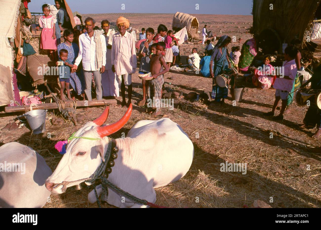Inde : un camp de pèlerins, fête de Poornima tenue près du temple Yellamma, Saundatti, Karnataka (1994). Chaque année dans le mois hindou de Magh (janvier - février) plus d'un demi-million de personnes se rassemblent autour du minuscule temple de la déesse Yellamma à Saundatti. Yellamma est la patronne des devadasi ou des femmes dédiées au service d'une divinité ou d'un temple. Banque D'Images