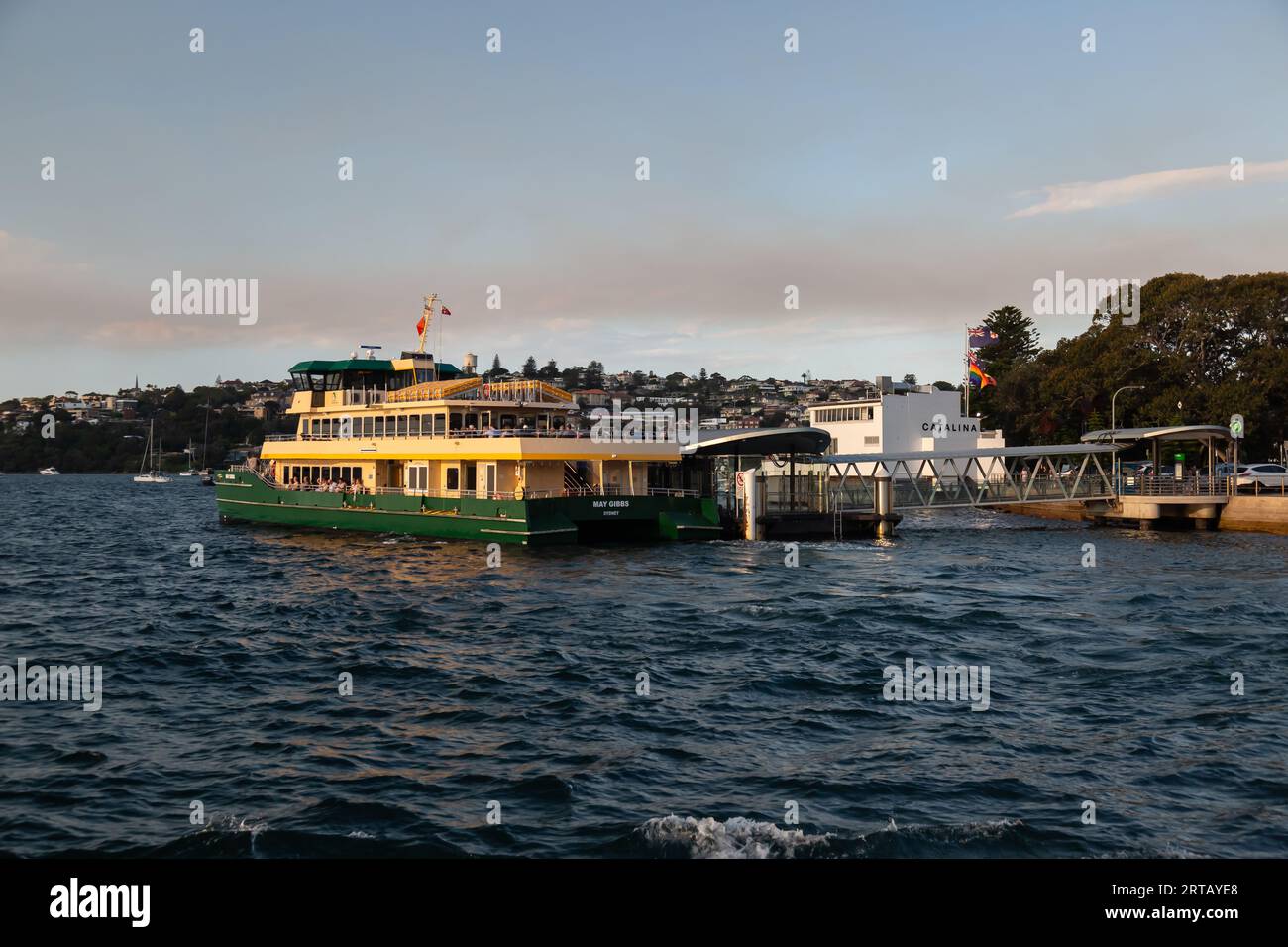Un ferry de Sydney arrivant à Rose Bay Ferry Wharf, dans la banlieue est de Sydney, Sydney, Australie. Banque D'Images