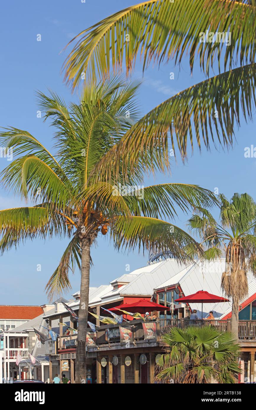 Terrasse sur le toit du Sharkeez Bar and Grill, Nassau, New Providence Island, Bahamas Banque D'Images