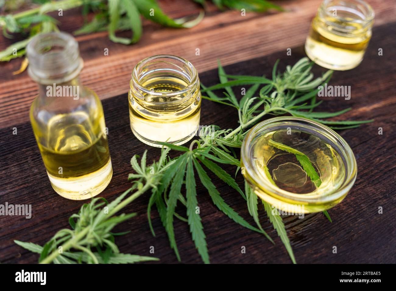 Extrait de cannabis d'huile de CBD, bouteilles d'huile de chanvre et fleurs de chanvre sur une table en bois, concept de cannabis médical, espace de copie. Banque D'Images