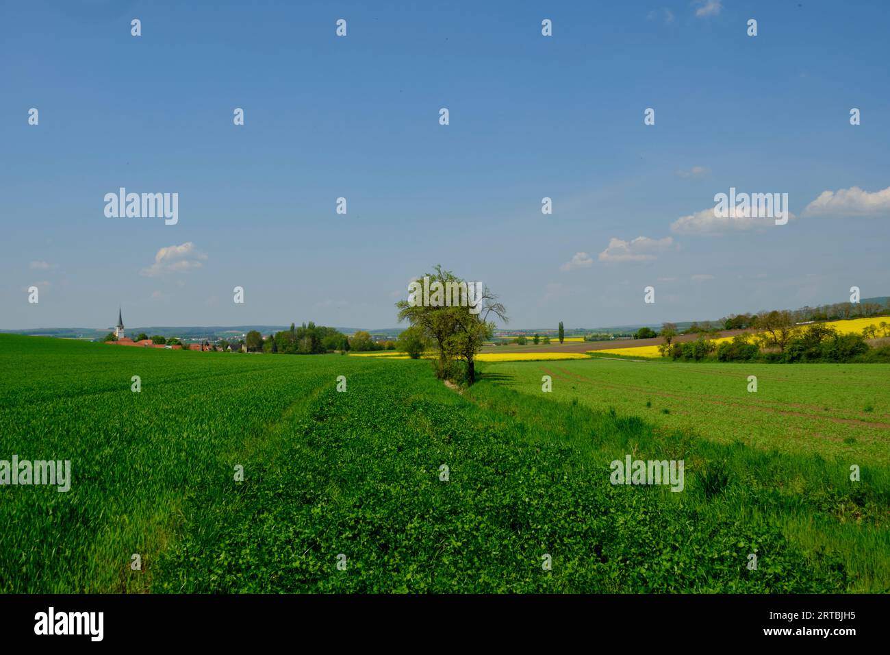 Paysage de la chaîne de montagnes basses du Haßberge près de Goßmannsdorf, partie de la ville de Hofheim en Basse-Franconie, district de Haßfurt, parc naturel de Haßberge Banque D'Images