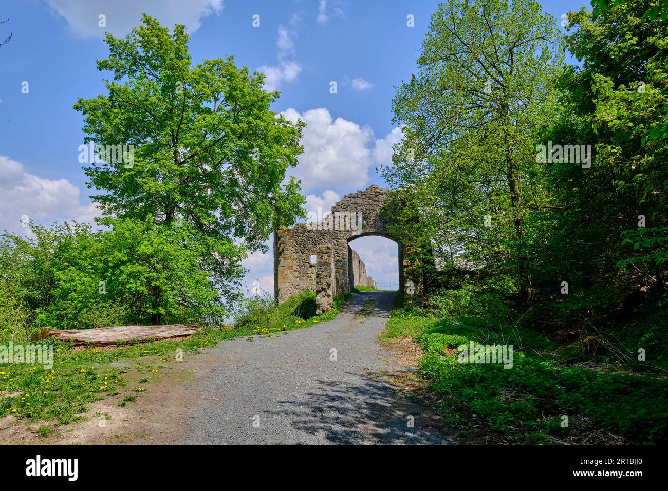 Ruines du château de Bramberg dans le parc naturel de Haßberge, district de Haßfurt, Basse-Franconie, Franconie, Bavière, Allemagne Banque D'Images