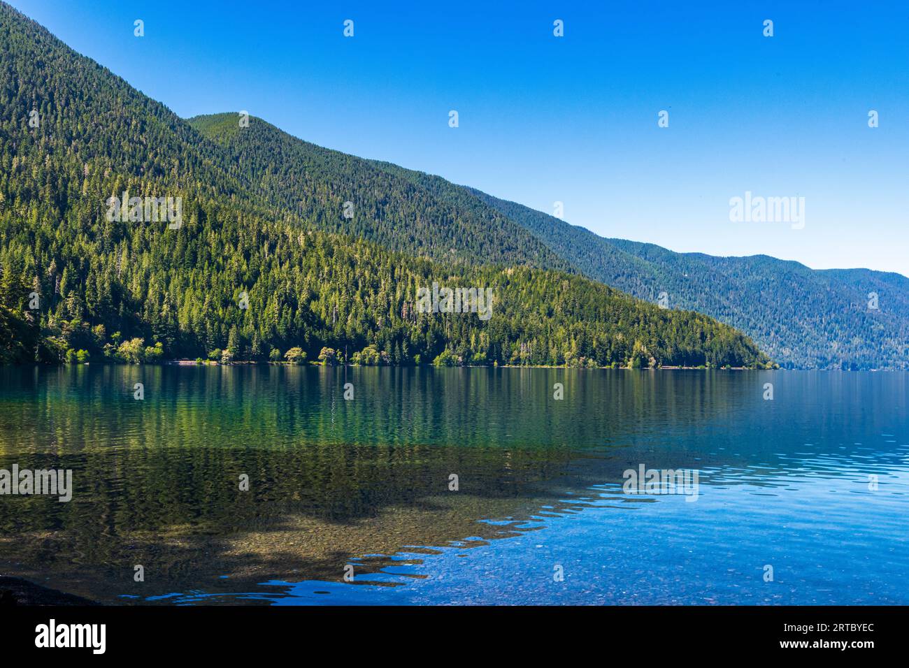Eaux cristallines du lac Crescent dans le parc national d'Olyumpic Banque D'Images
