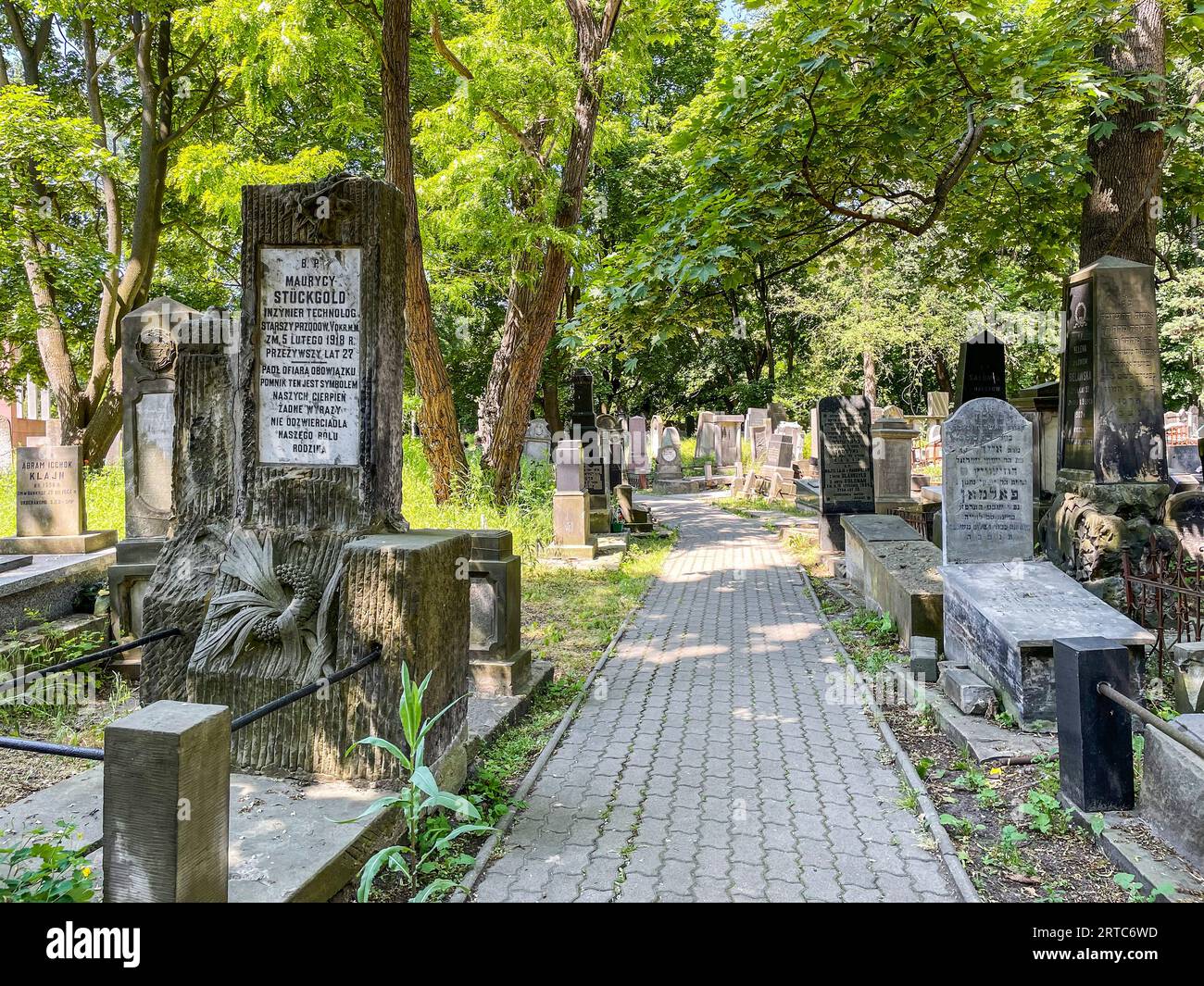 Pologne, Varsovie, cimetière juif Banque D'Images