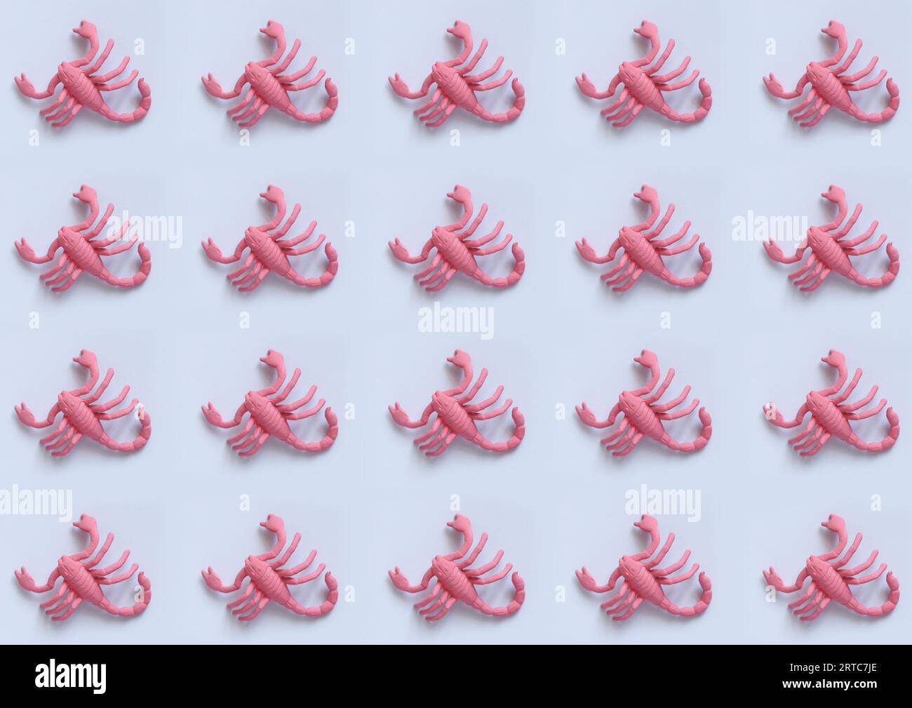 scorpions roses sur fond blanc Banque D'Images
