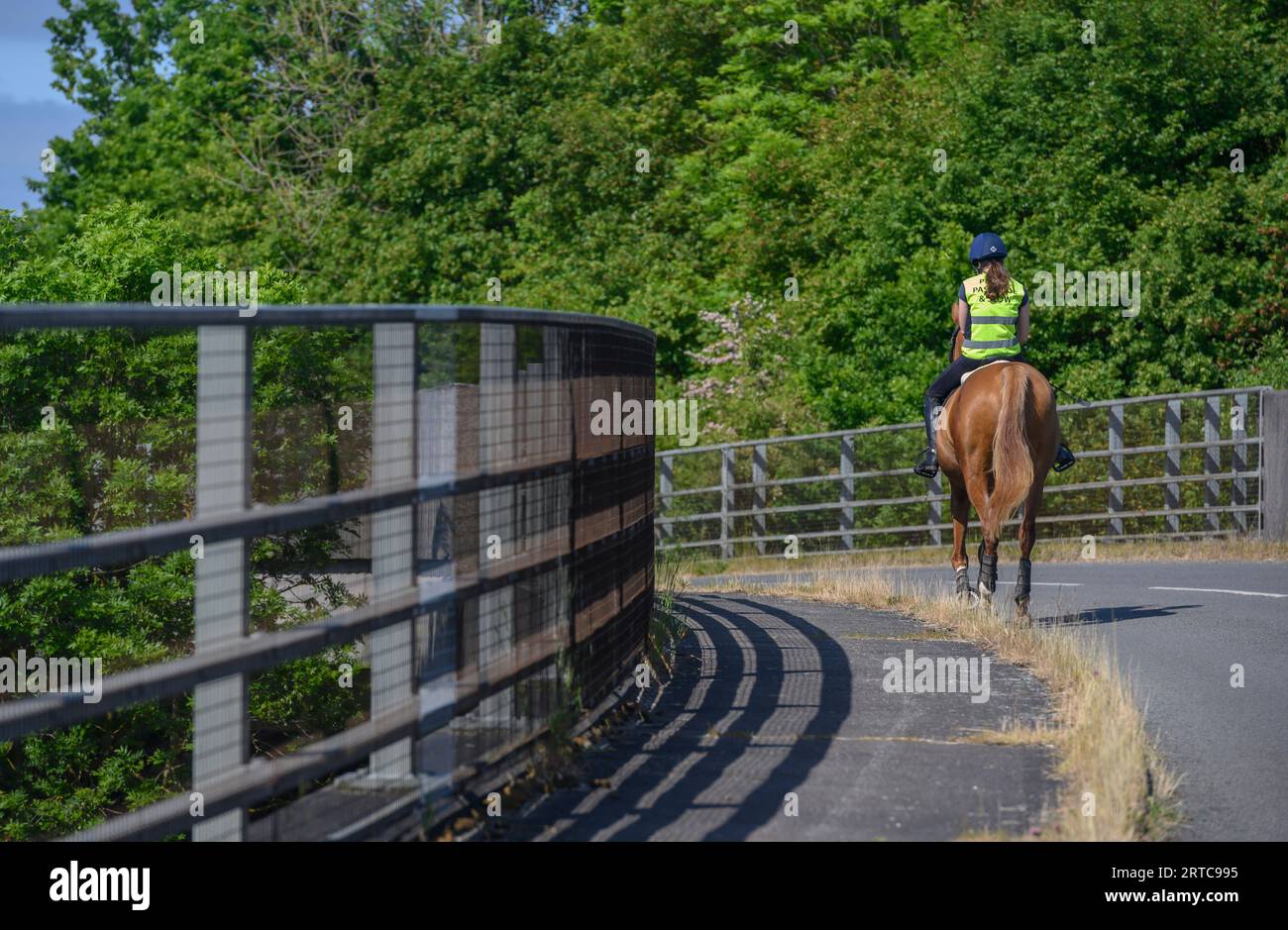 Cheval et cavalier traversant un pont routier sur l'autoroute M40, Warwickshire, Angleterre. Banque D'Images