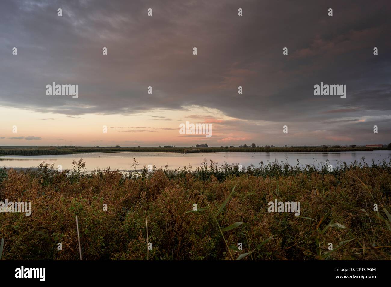 Paysage POLDER près de Pilsum, Krummhoern, Aurich, Frise orientale, Basse-Saxe, Allemagne, Europe Banque D'Images