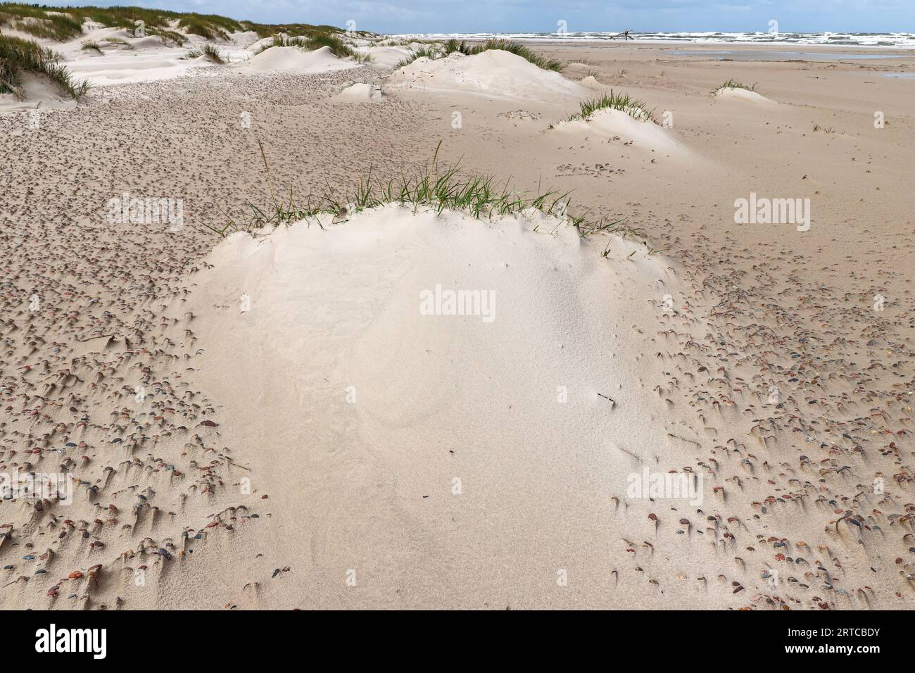 Détail de sable soufflé sur une plage sauvage de la côte Baltique, Smoldzino, Pologne Banque D'Images