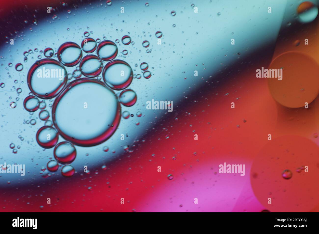 Macro plan abstrait de bulles d'huile flottant sur l'eau. Banque D'Images