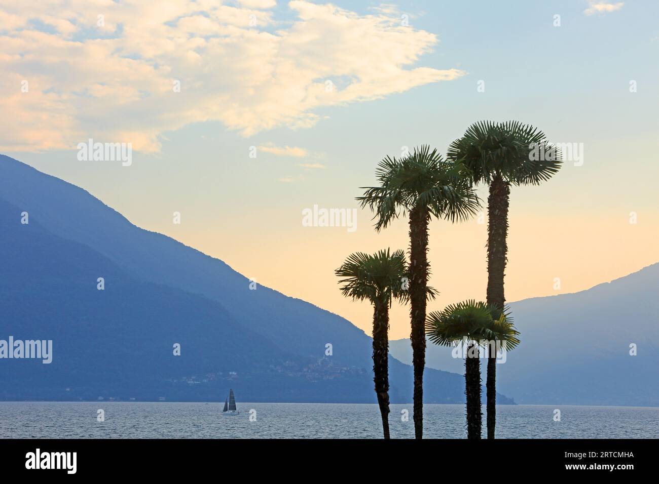 Vue sur le lac majeur depuis la promenade du lac à Ascona, Tessin, Suisse Banque D'Images