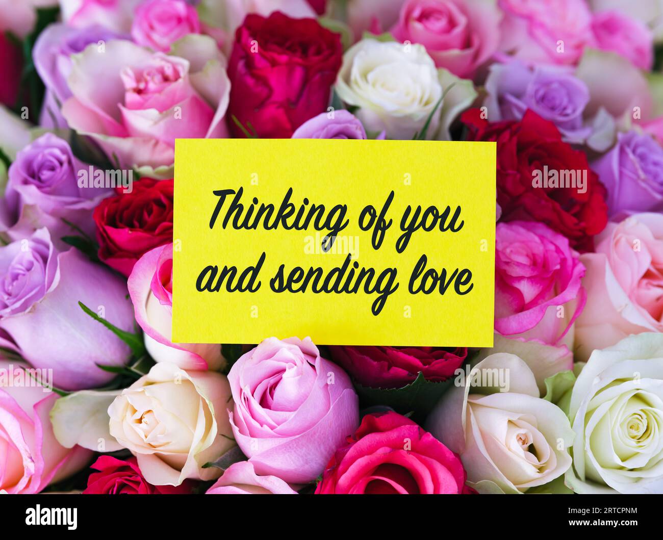 Une carte de voeux jaune avec des mots pensant à vous et envoyant l'amour posé sur un grand bouquet de roses colorées Banque D'Images