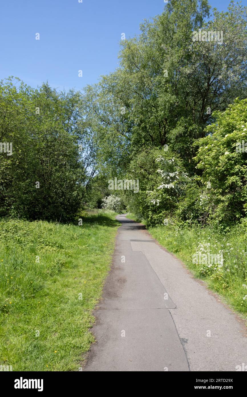 Ancien tramway maintenant sentier pédestre et réserve naturelle reliant Bamber Bridge à la rivière Ribble à Preston Lancashire Angleterre Banque D'Images