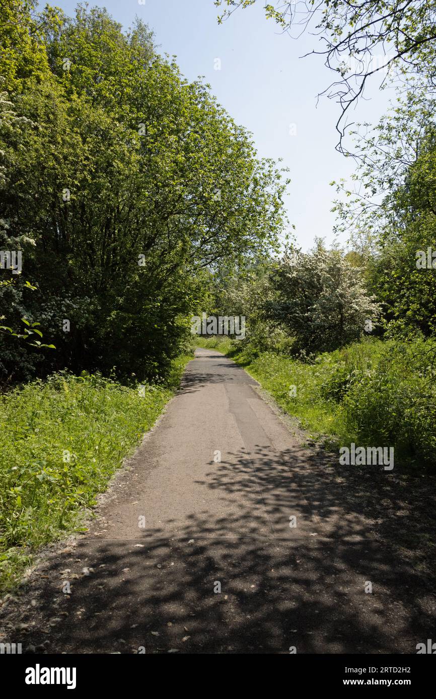 Ancien tramway maintenant sentier pédestre et réserve naturelle reliant Bamber Bridge à la rivière Ribble à Preston Lancashire Angleterre Banque D'Images