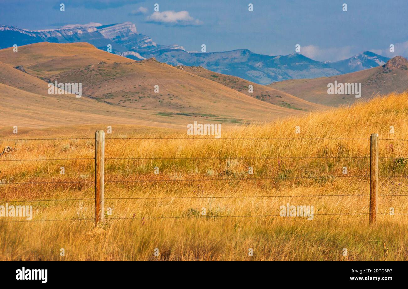 Avec la chaîne de montagnes de Flathead comme toile de fond, l'agriculture céréalière à grande échelle et l'élevage de bétail dans les hautes plaines presque sans arbres du Montana Banque D'Images