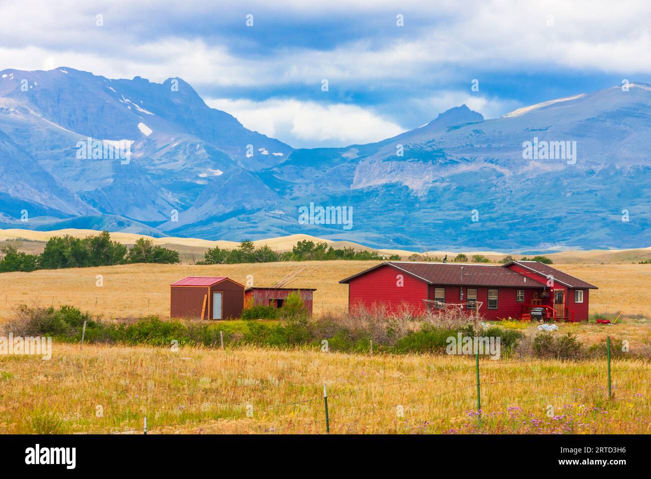 Avec la chaîne de montagnes de Flathead comme toile de fond, l'agriculture céréalière à grande échelle et l'élevage de bétail dans les hautes plaines presque sans arbres du Montana Banque D'Images