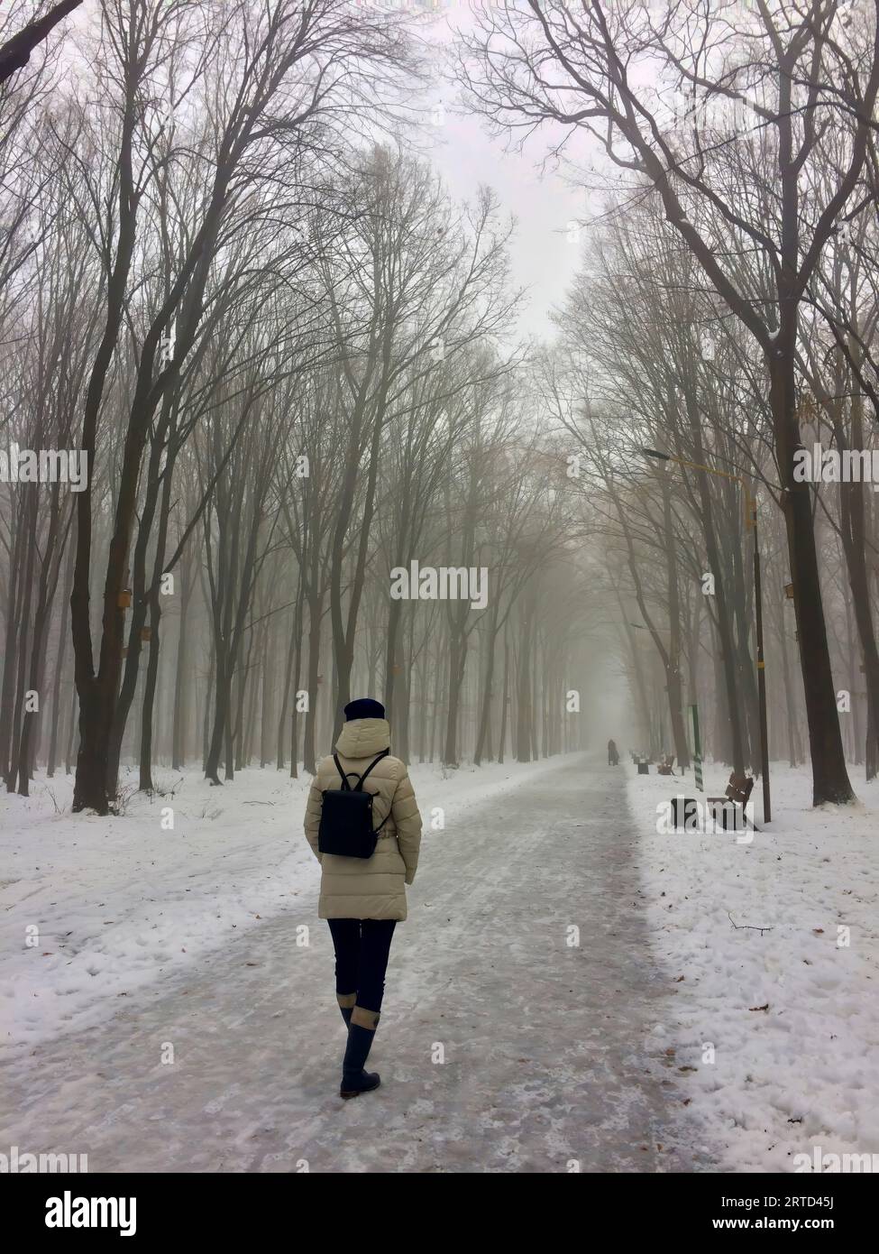 Une femme marche dans une ruelle d'hiver brumeuse. La fille s'éloigne au loin dans la ruelle d'hiver. Ruelle d'hiver brumeuse. Banque D'Images