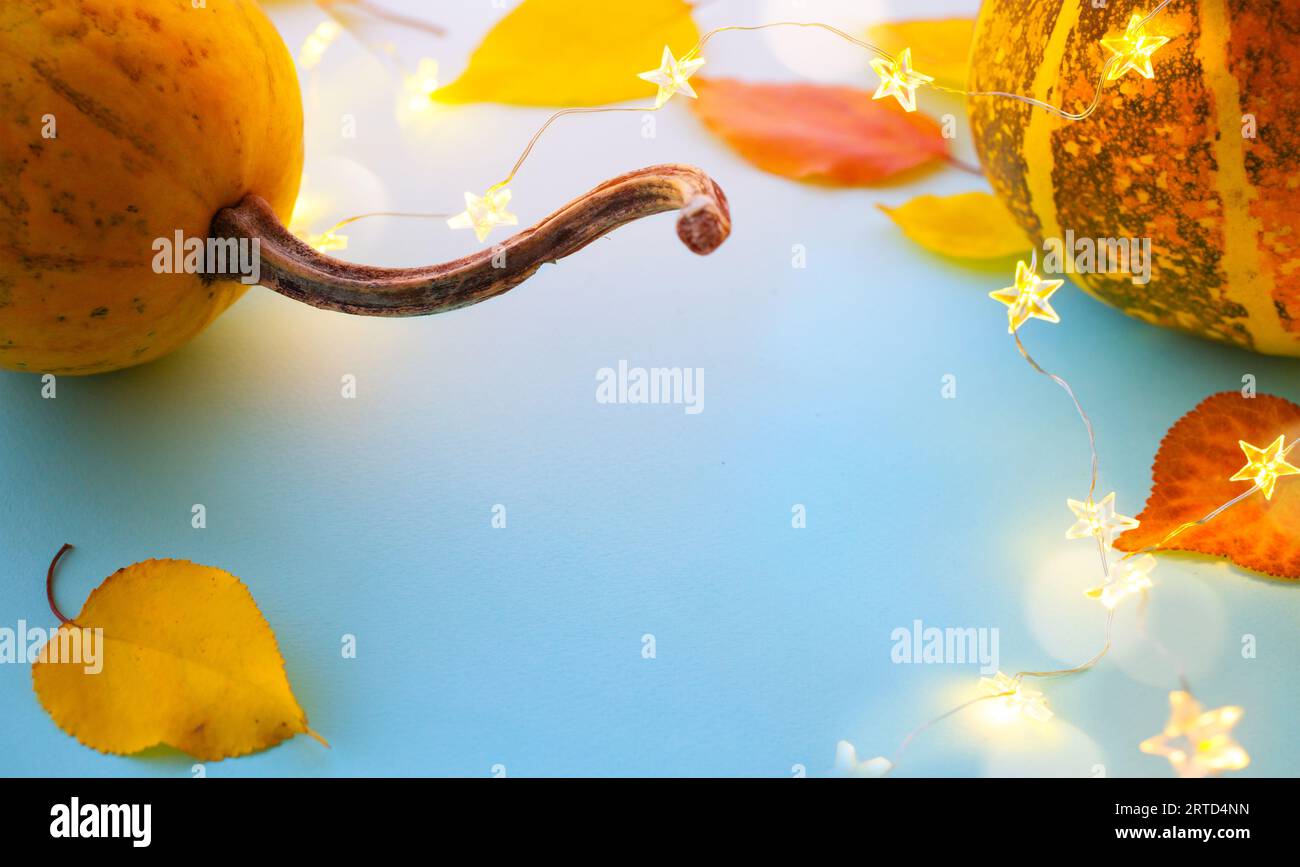 Citrouilles d'automne et feuilles d'automne jaunes sur fond bleu clair comme décorations pour le jour d'action de grâce; bannière d'action de grâce avec espace pour les copies; Banque D'Images