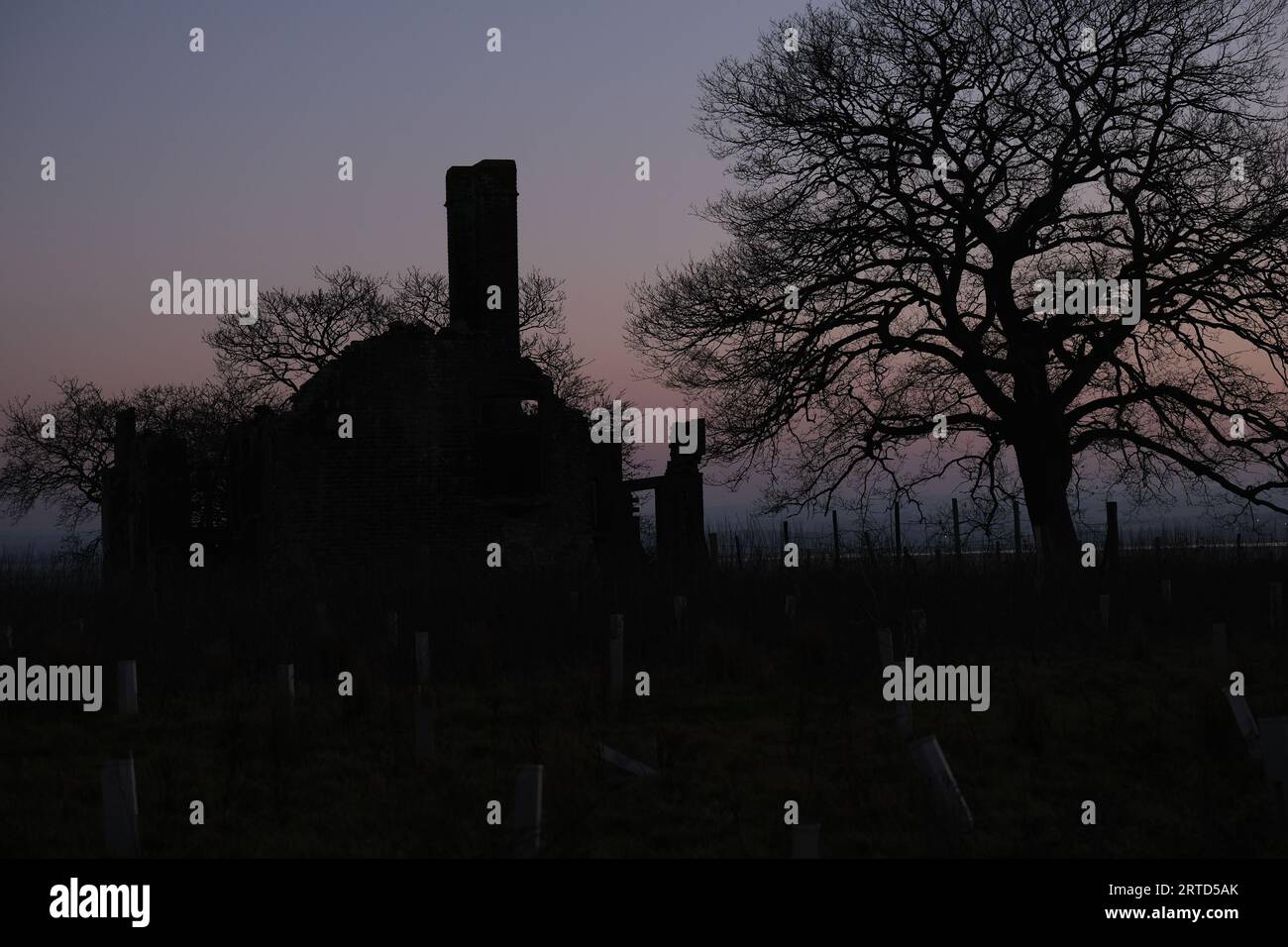 Chalet abandonné, Elmley, île de Sheppey, Kent, Angleterre Banque D'Images