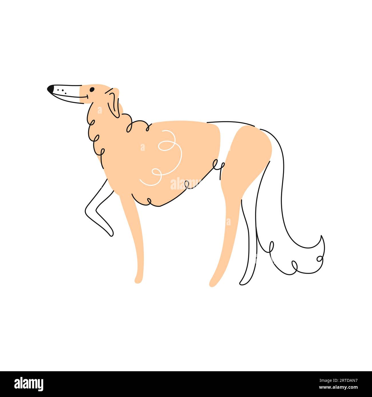 Chien de chien de chien afghan doodle, personnage de chiot de bande dessinée. Vecteur Borzoi chiot drôle animal de compagnie, souriant drôle canin adorable portrait de chien Illustration de Vecteur