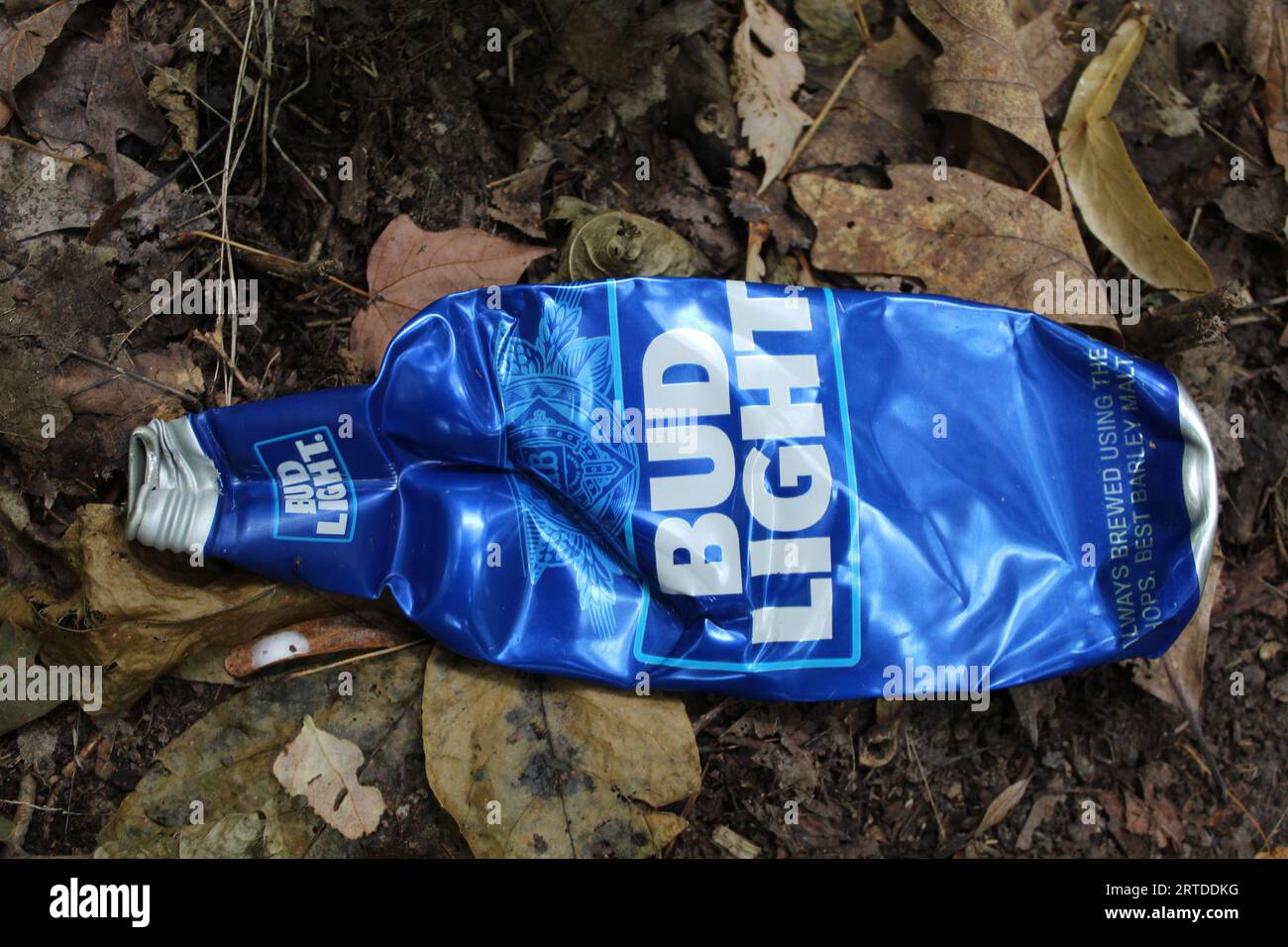 Bouteille d'interdiction de bière en aluminium Bud légère écrasée à Camp Ground Road Woods à des Plaines, Illinois Banque D'Images