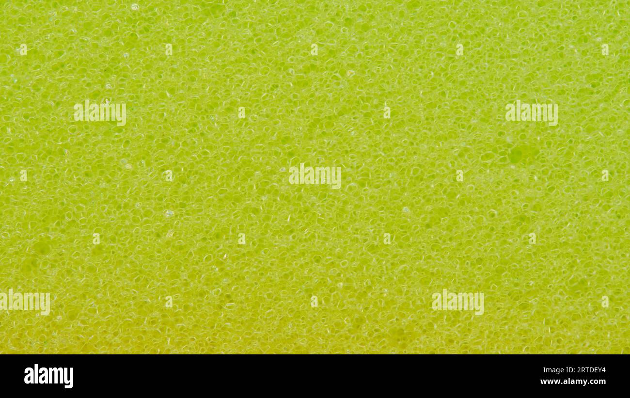 Fond jaune de mousse éponge, photo macro Banque D'Images