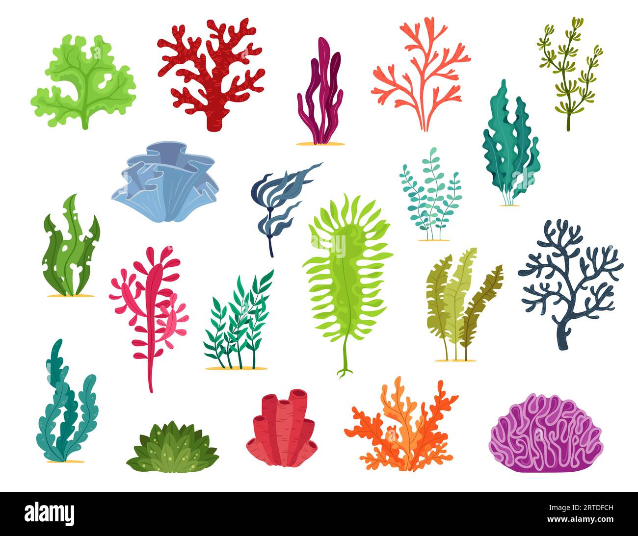 Algues marines sous-marines. Aquarium et algues marines. Ensemble de vecteurs de mauvaises herbes vibrantes, d'herbe et de coraux dans le fond de l'océan sous-marin. Vie marine pour les produits environnementaux ou aquatiques, ou thèmes de recherche océaniques Illustration de Vecteur