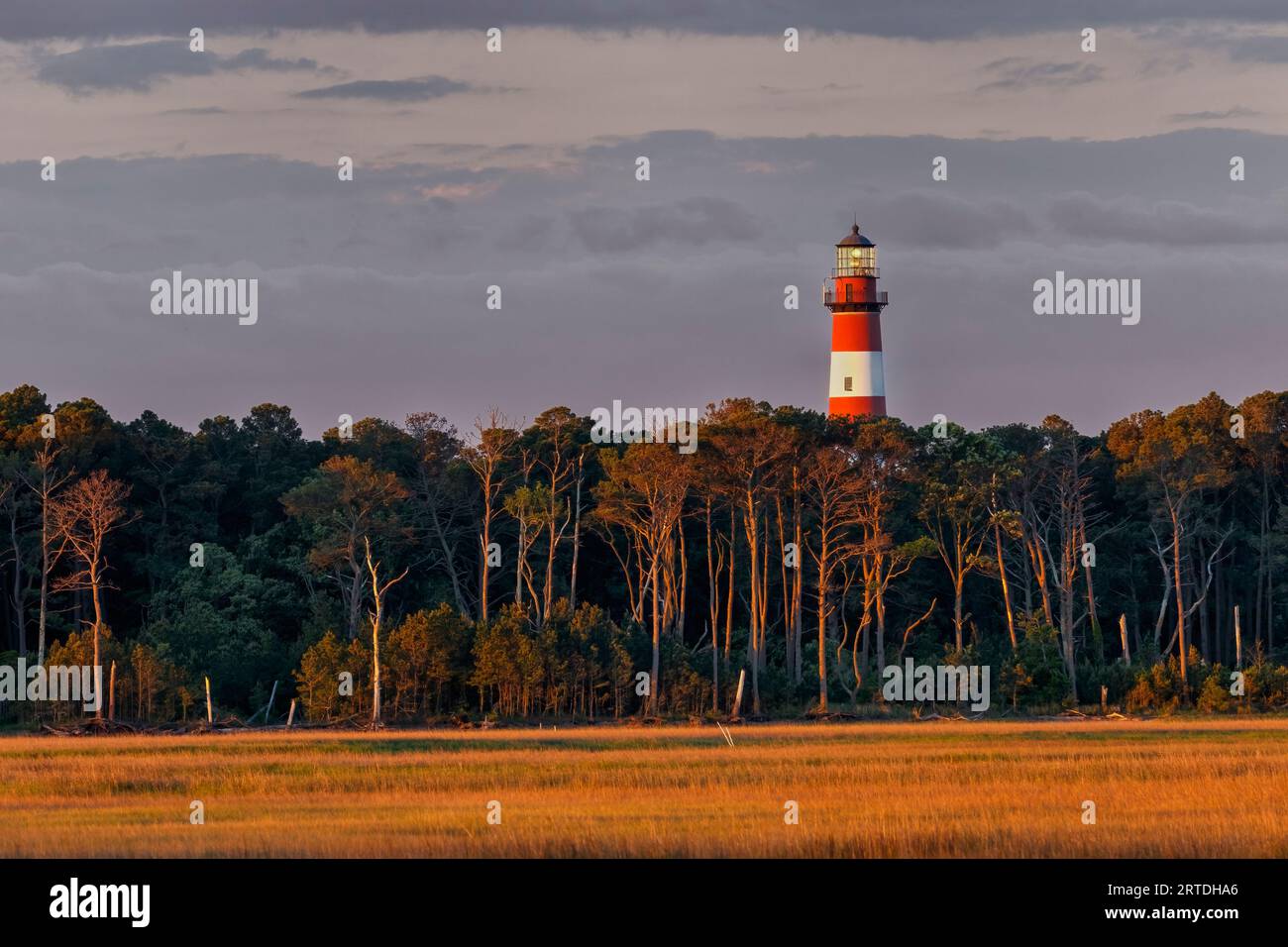 Lumière matinale sur le phare d'Assateague, Assateague Island National Seashore, Chincoteague, Virginie, États-Unis Banque D'Images