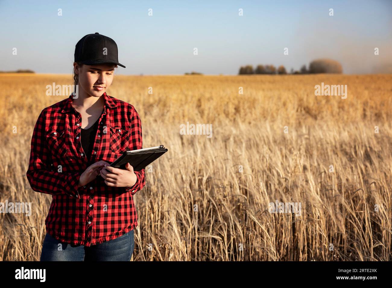 Portrait d'une jeune femme de ferme debout dans un champ de culture mixte d'orge et d'avoine au moment de la récolte, en utilisant un logiciel agricole sophistiqué technol... Banque D'Images