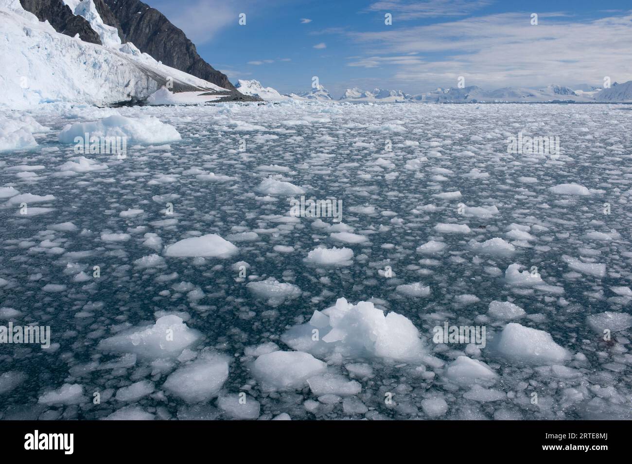 Eaux glacées du chenal Lemaire le long de l'île Danco dans l'Antarctique ; Péninsule Antarctique, Antarctique Banque D'Images