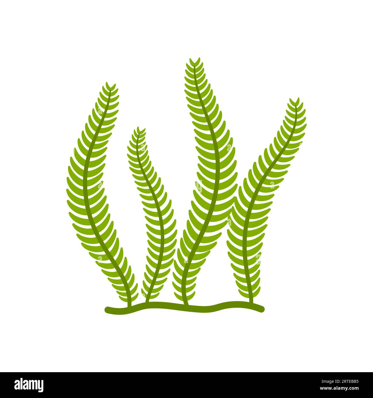 Corail touffu doux, icône verte isolée des algues gorgoniennes. Vecteur branches de plantes sous-marines, réservoirs et décoration de mer d'aquarium, algue anémone Illustration de Vecteur