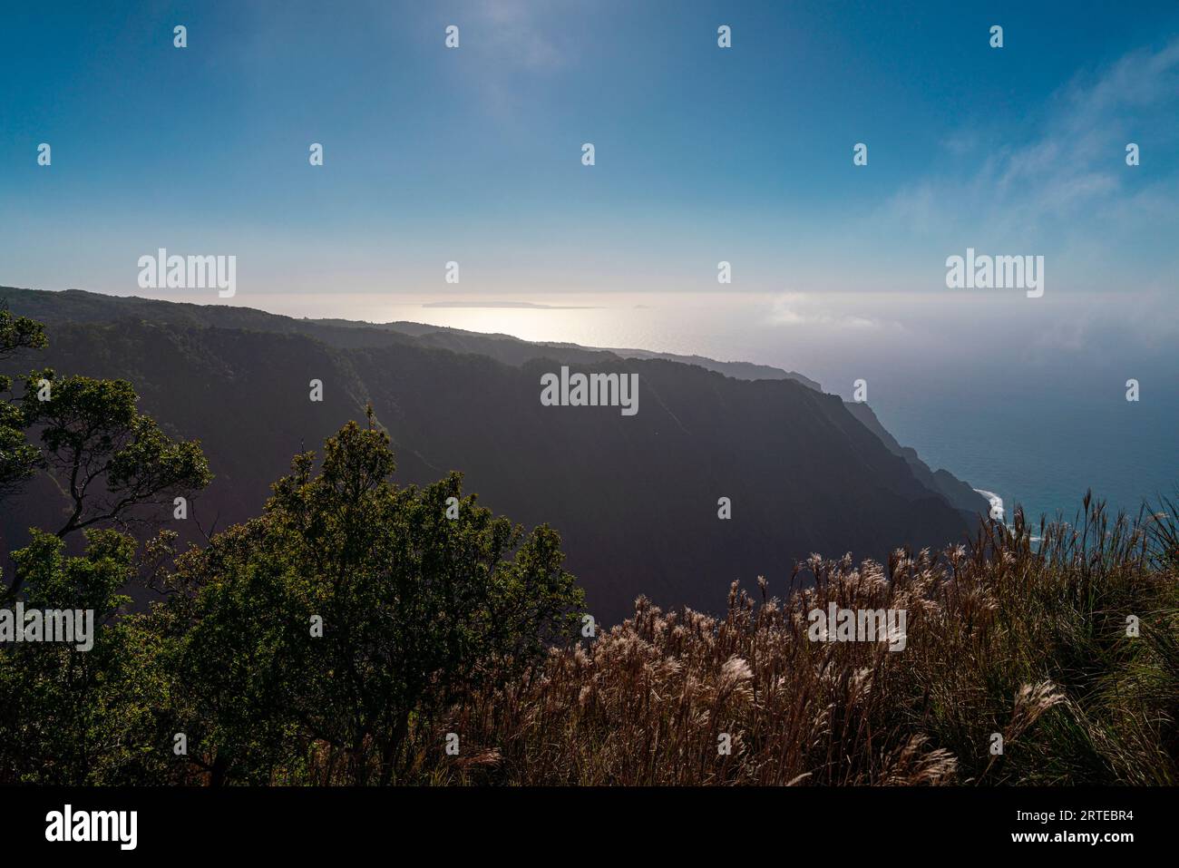 Vue panoramique sur les falaises de montagne de la côte de Napali et la végétation tropicale le long de la Kalalau Trail sur l'île hawaïenne de Kauai ... Banque D'Images