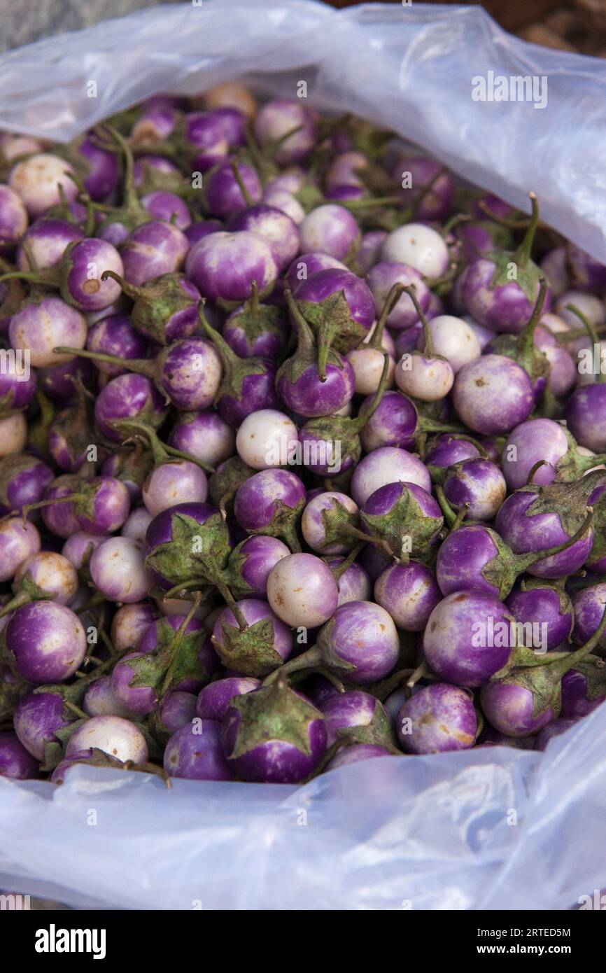 Mini aubergines (Vietnam) Banque D'Images