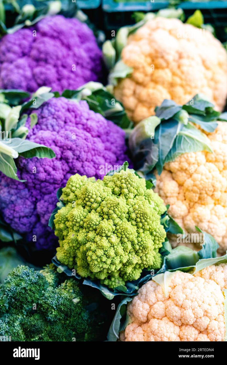 Chou-fleur blanc et violet, brocoli et romanesco au marché Banque D'Images