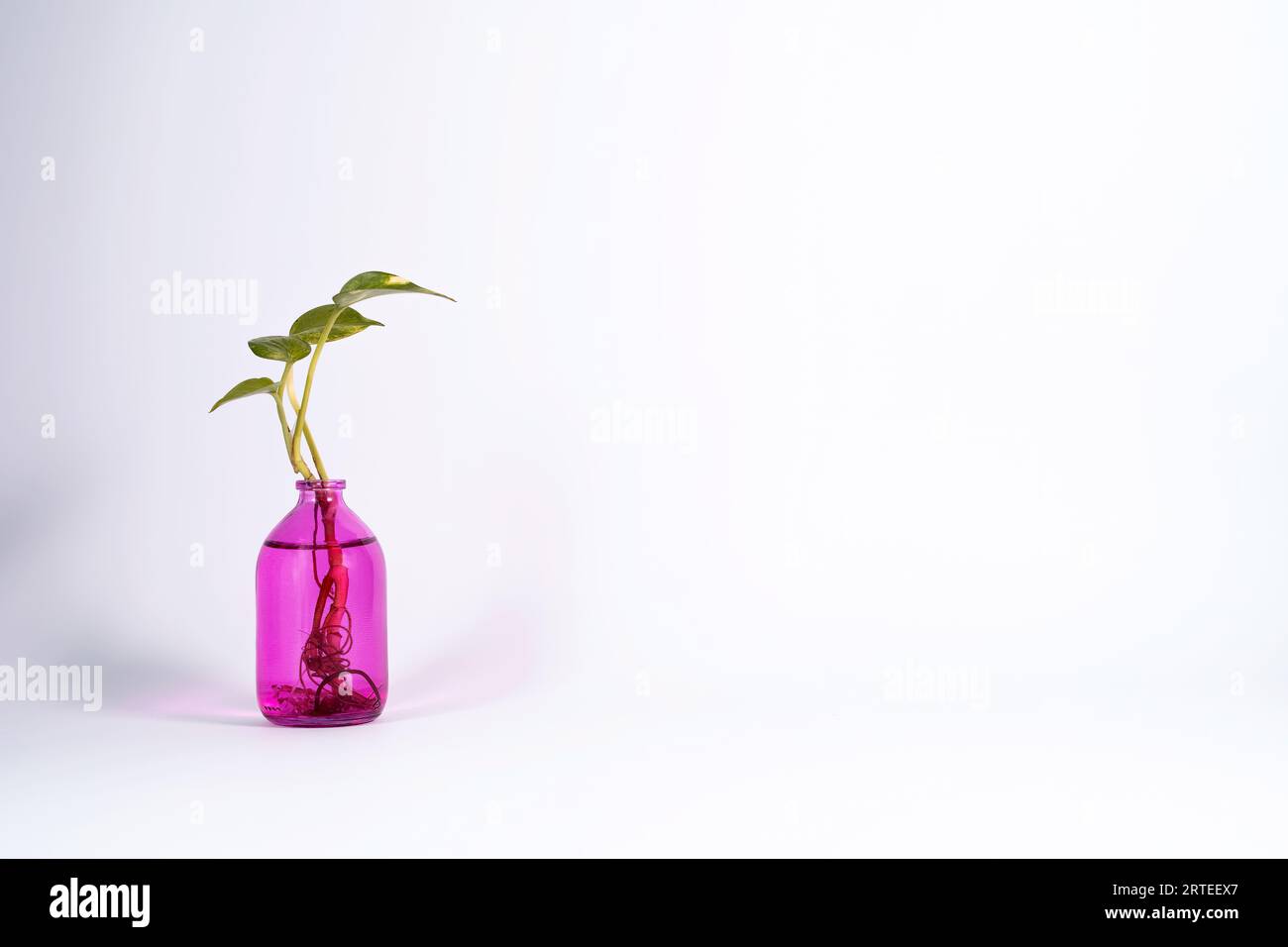 Photo isolée d'une usine d'appartements avec espace vide. Banque D'Images