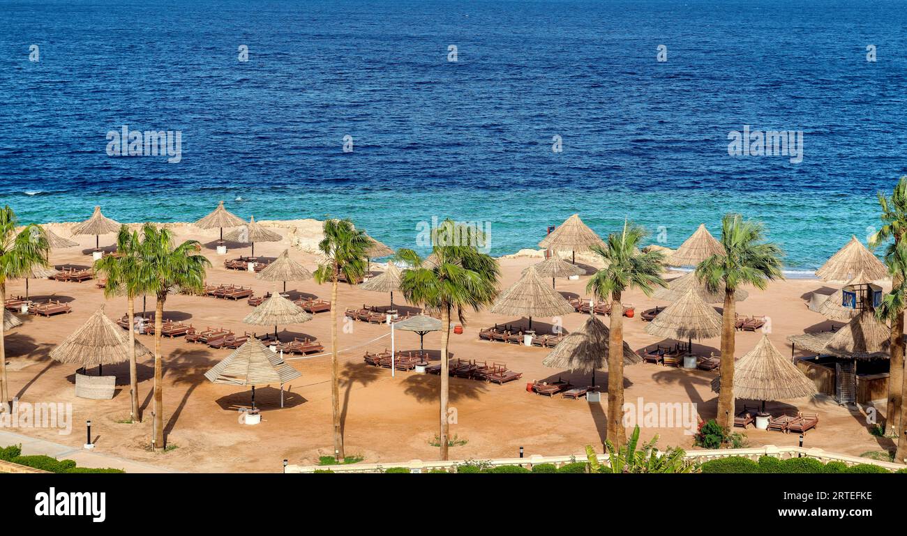 Vue aérienne de la plage tropicale avec palmiers, parasols et mer tropicale, dans la station tropicale à Charm el Cheikh, Egypte. Banque D'Images