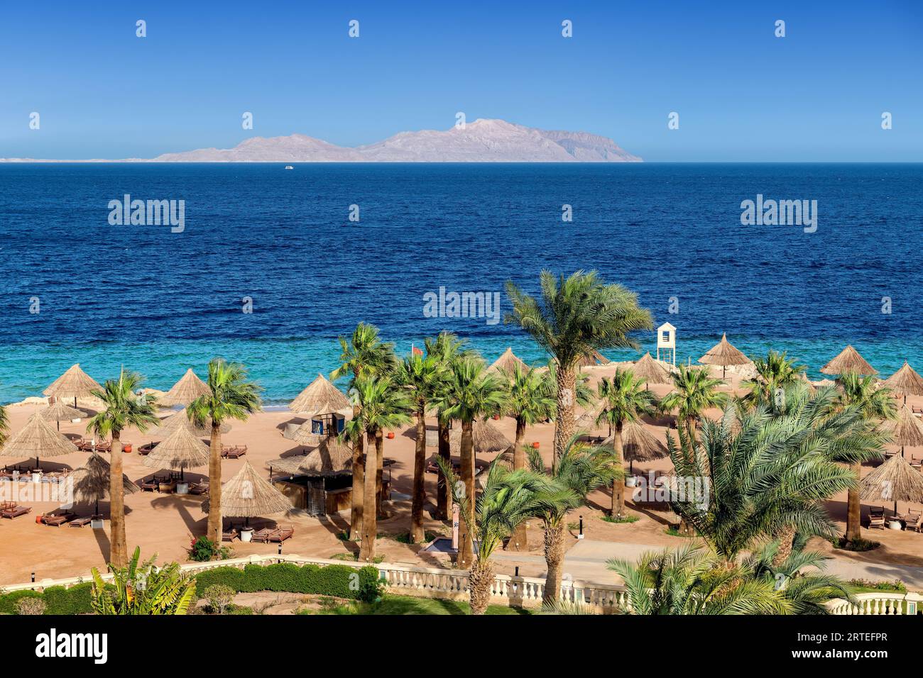Vue aérienne de la plage tropicale avec palmiers, parasols et mer tropicale, dans la station tropicale à Charm el Cheikh, Egypte. Banque D'Images