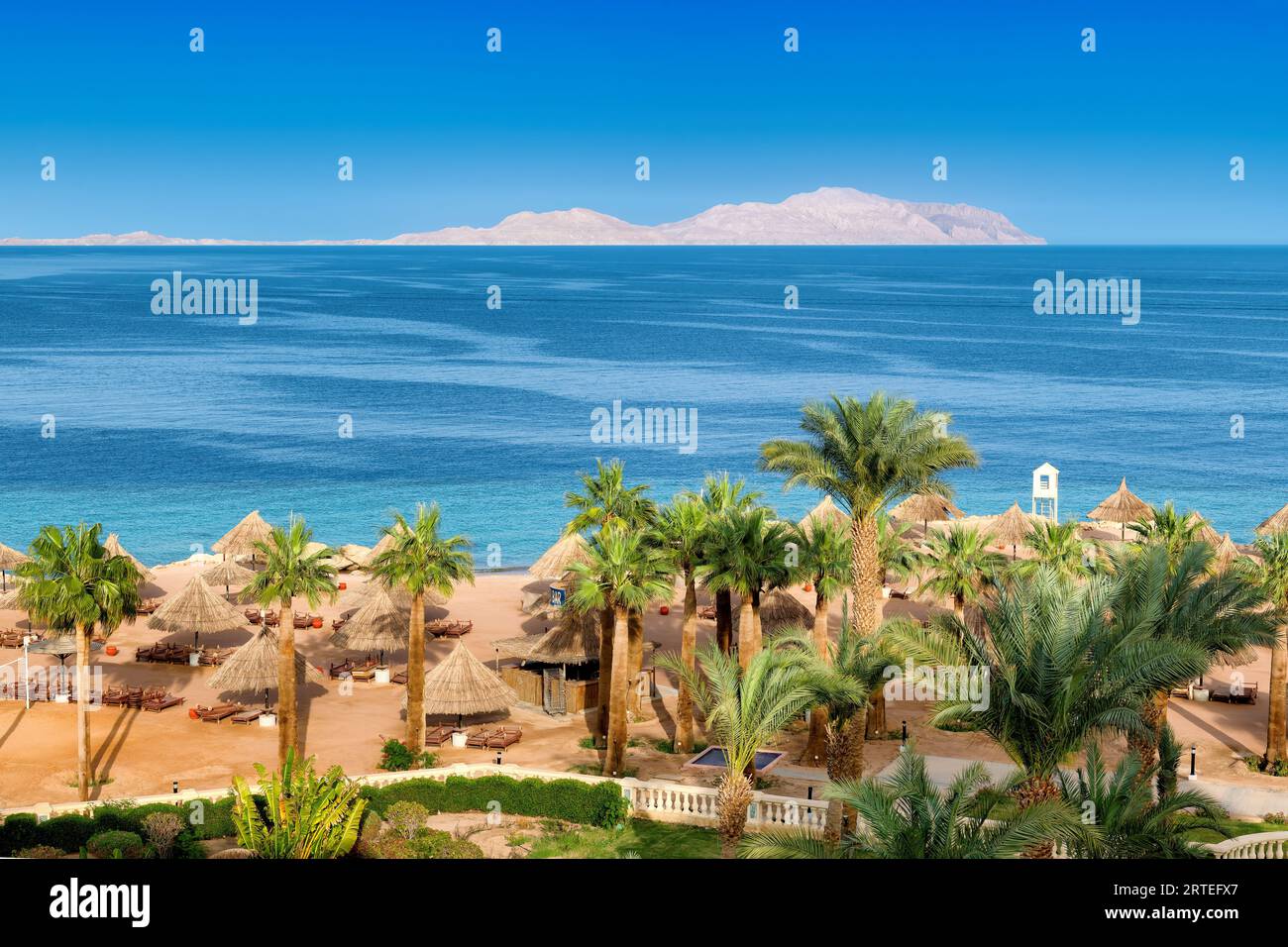 Vue aérienne de la plage tropicale avec palmiers, parasols et mer tropicale, dans la station tropicale à Charm el Cheikh, Egypte. Banque D'Images