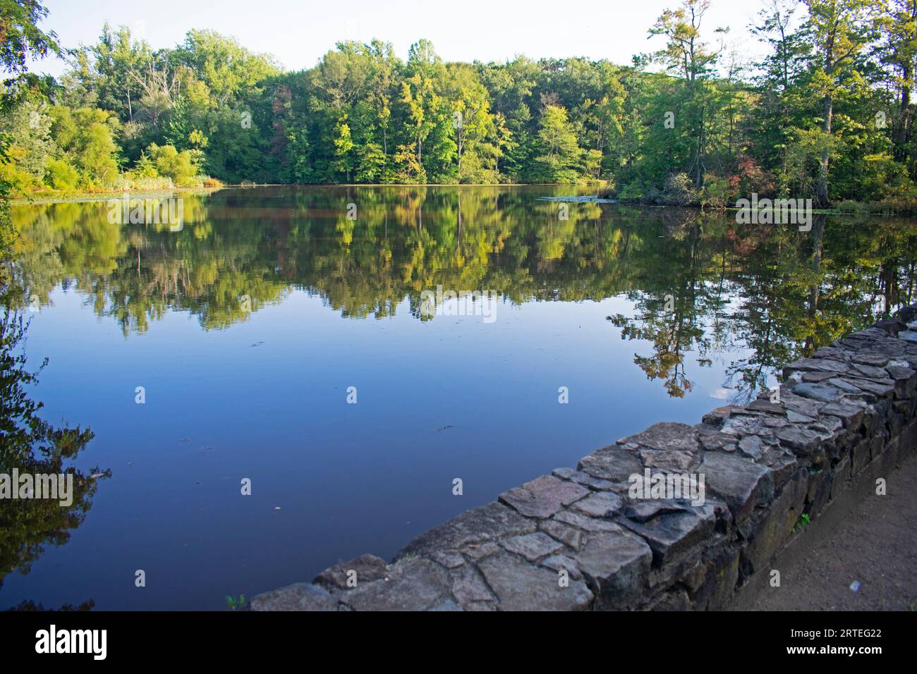 Reflets d'arbres et de feuilles dans le lac au Davidson Mill Pond Park par une journée ensoleillée -24 Banque D'Images