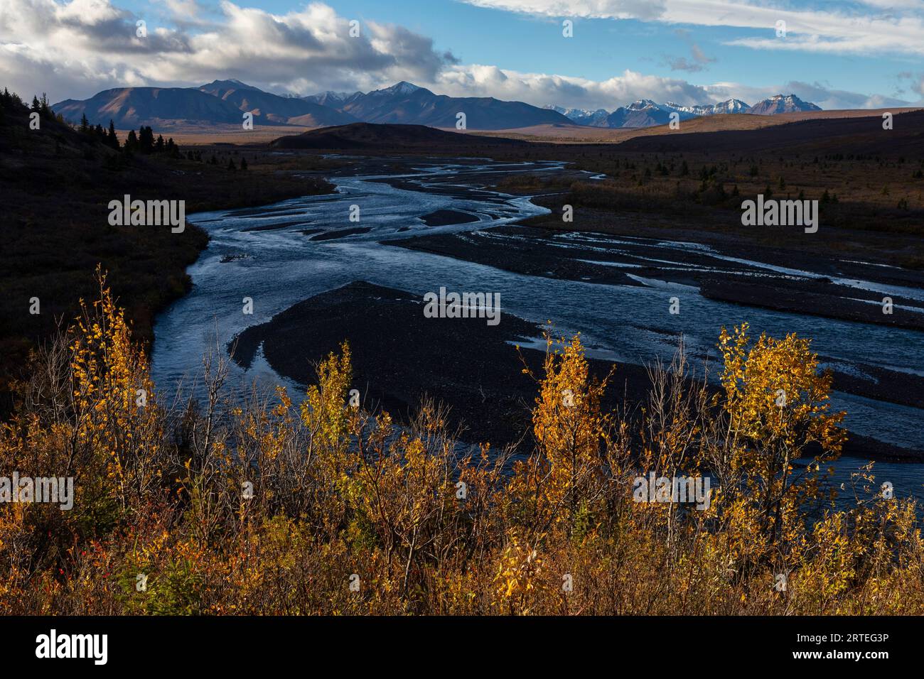 Vue panoramique de la brosse colorée d'automne illuminée par le soleil, en face de Savage River et les montagnes de l'Alaska Range en arrière-plan sur un... Banque D'Images