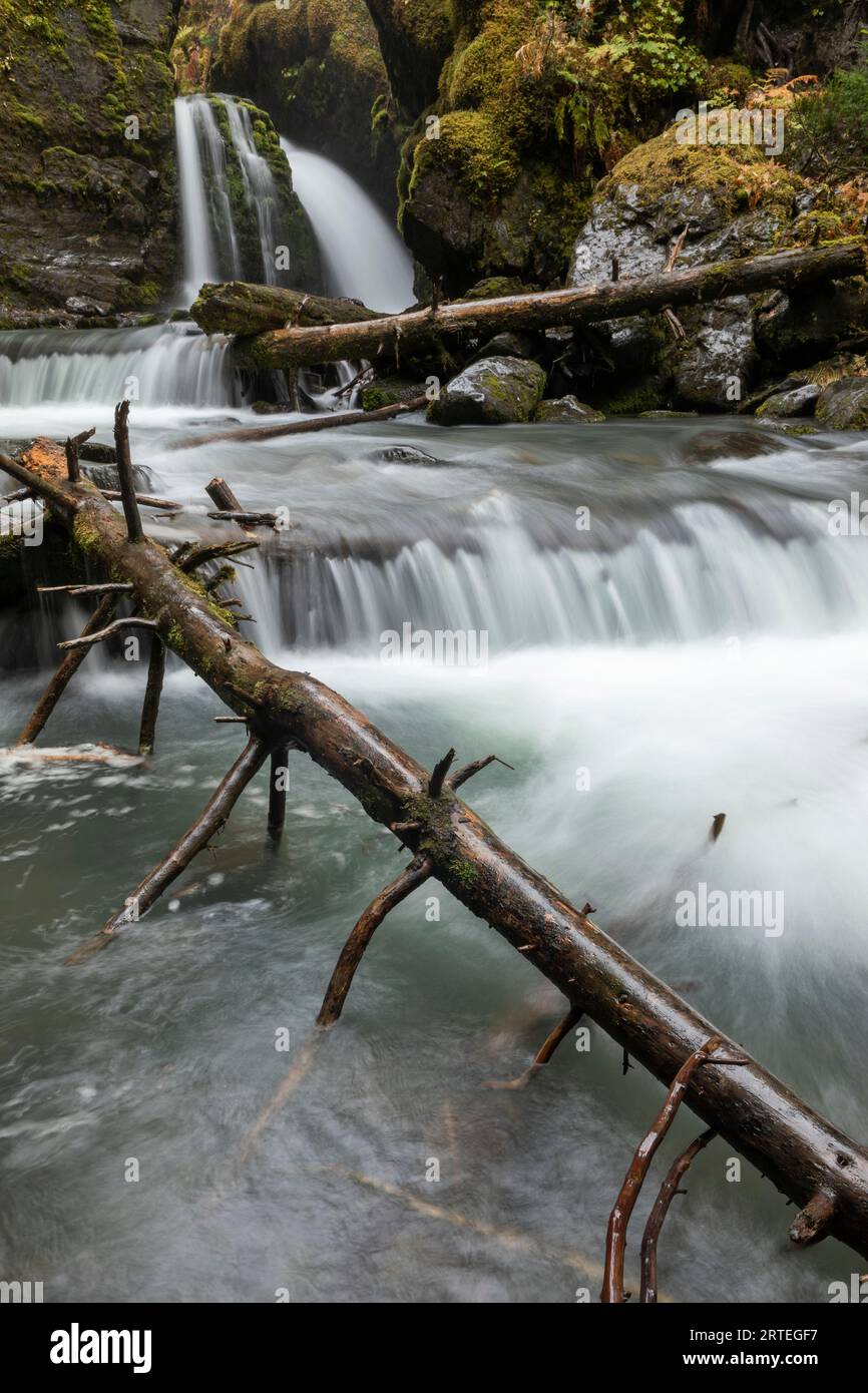 chutes-de-ruisseau-vierge-banque-de-photographies-et-d-images-haute