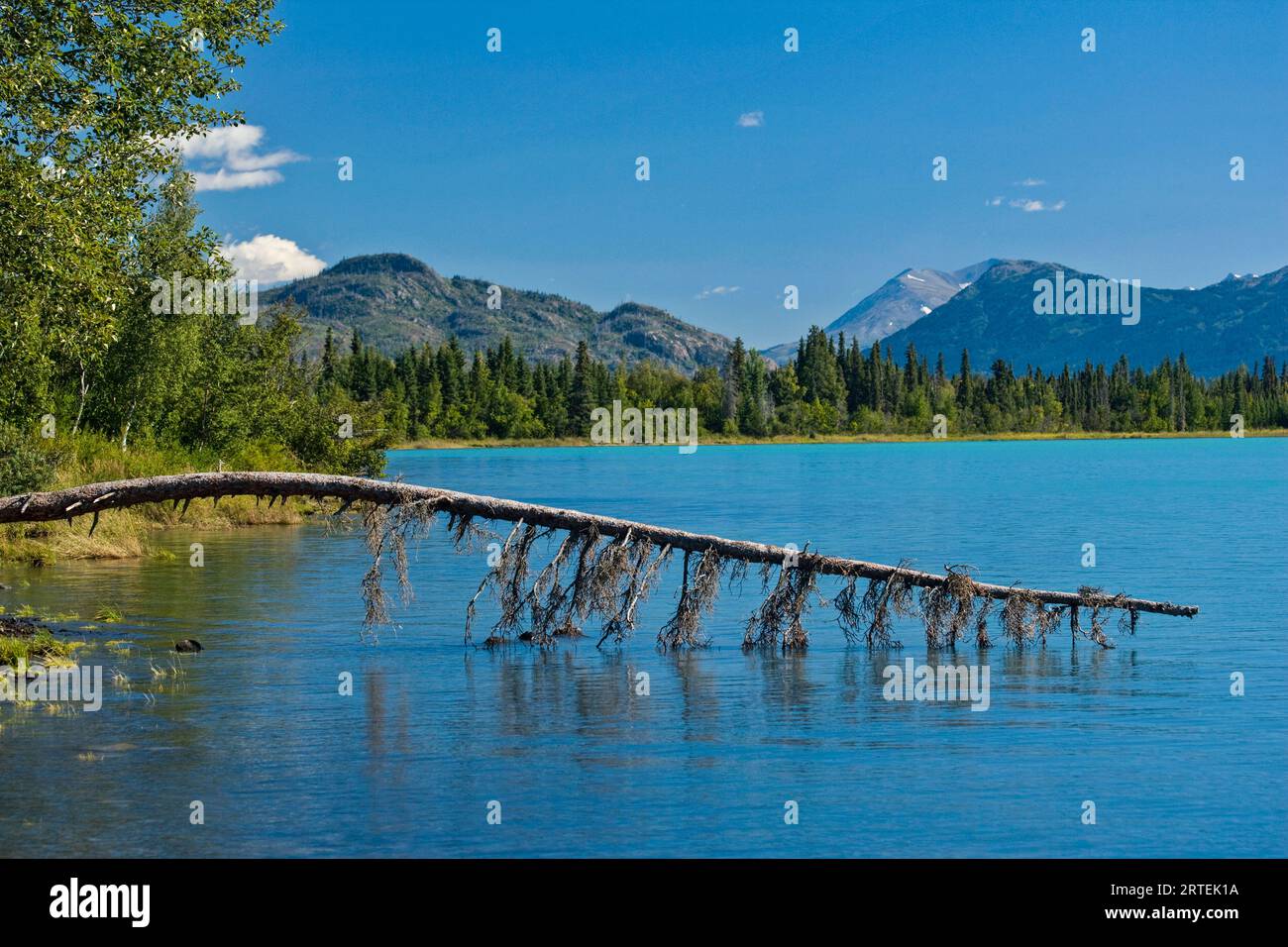 Vue du lac Skilak au Kenai National Wildlife refuge, Alaska, États-Unis ; Alaska, États-Unis d'Amérique Banque D'Images