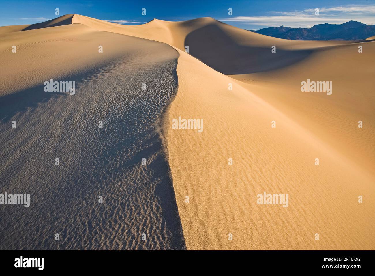 Mesquite Flat Sand Dunes dans le parc national de la Vallée de la mort, Californie, États-Unis ; Californie, États-Unis d'Amérique Banque D'Images