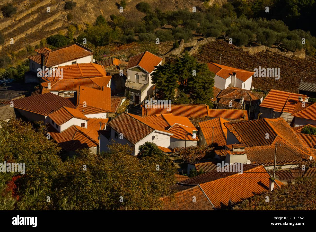 Maisons avec toits de tuiles au-dessus de champs en terrasses près de Chanceleiros dans la vallée du fleuve Douro au Portugal ; vallée du fleuve Douro, Portugal Banque D'Images