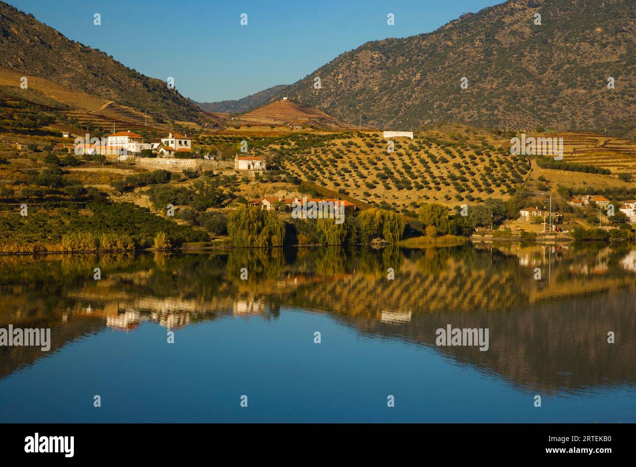 Vignobles et vignobles reflétés dans le fleuve Douro ; vallée du fleuve Douro, Portugal Banque D'Images