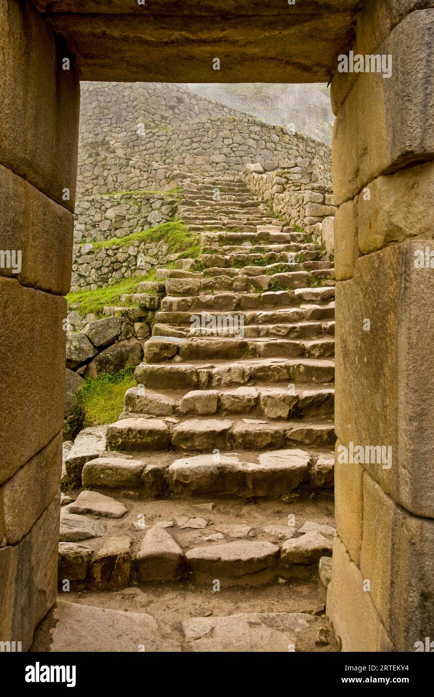 Escalier sur Machu Picchu ; Machu Picchu, Pérou Banque D'Images