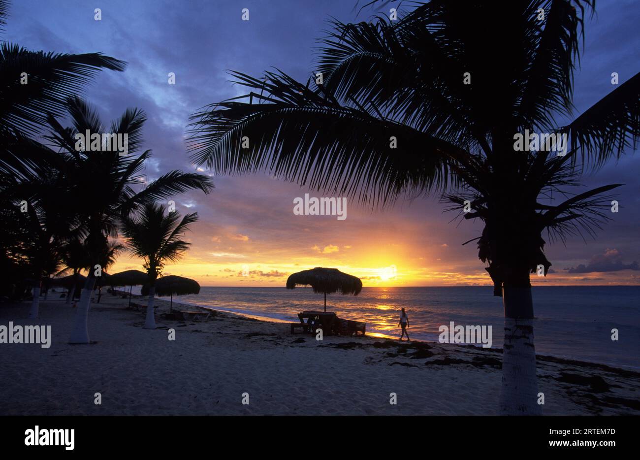 Eagle Beach au coucher du soleil sur l'île d'Aruba ; Aruba Banque D'Images