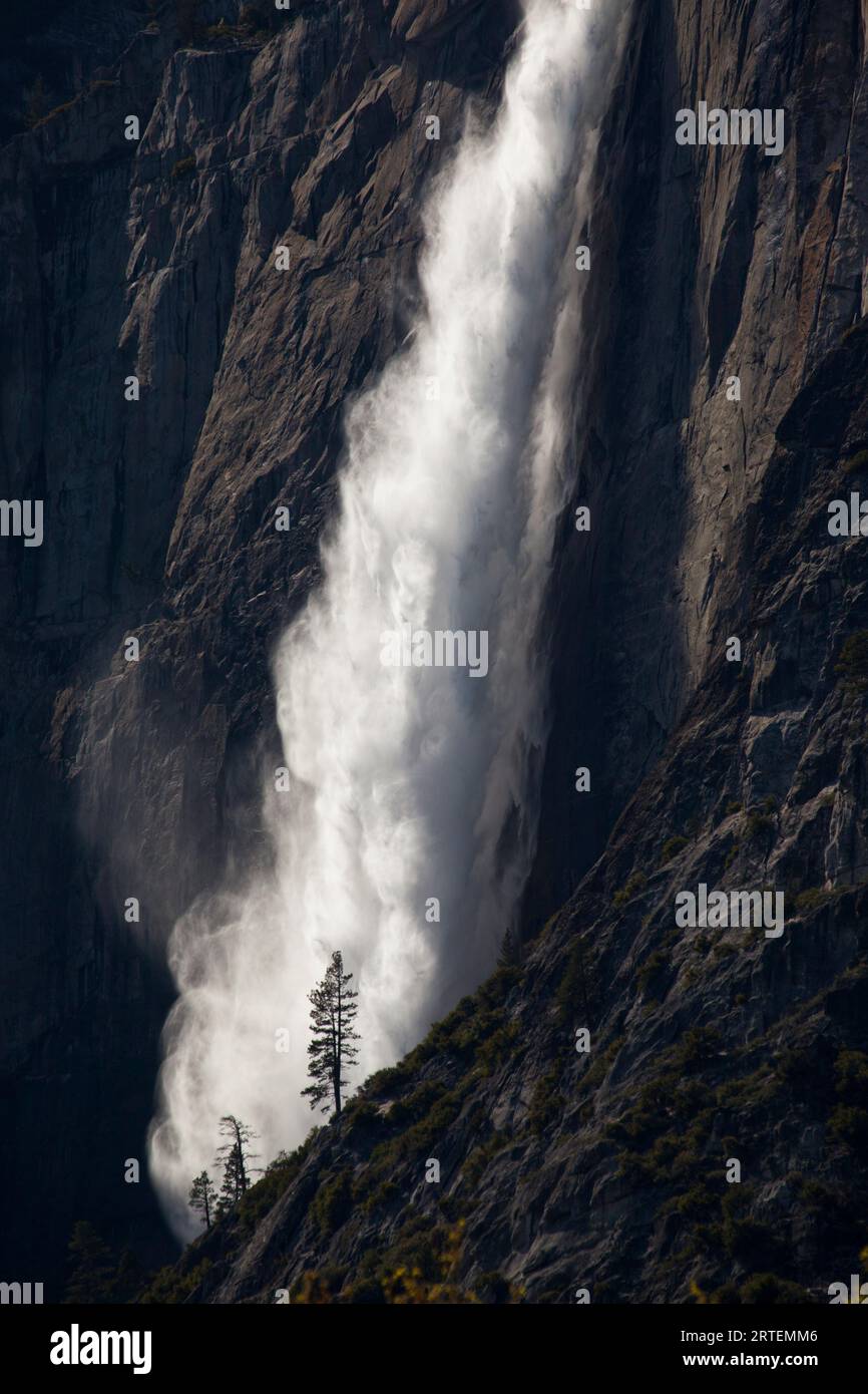 Chutes de Yosemite en cascade sur une paroi rocheuse pure, parc national de Yosemite, Californie, États-Unis ; Californie, États-Unis d'Amérique Banque D'Images