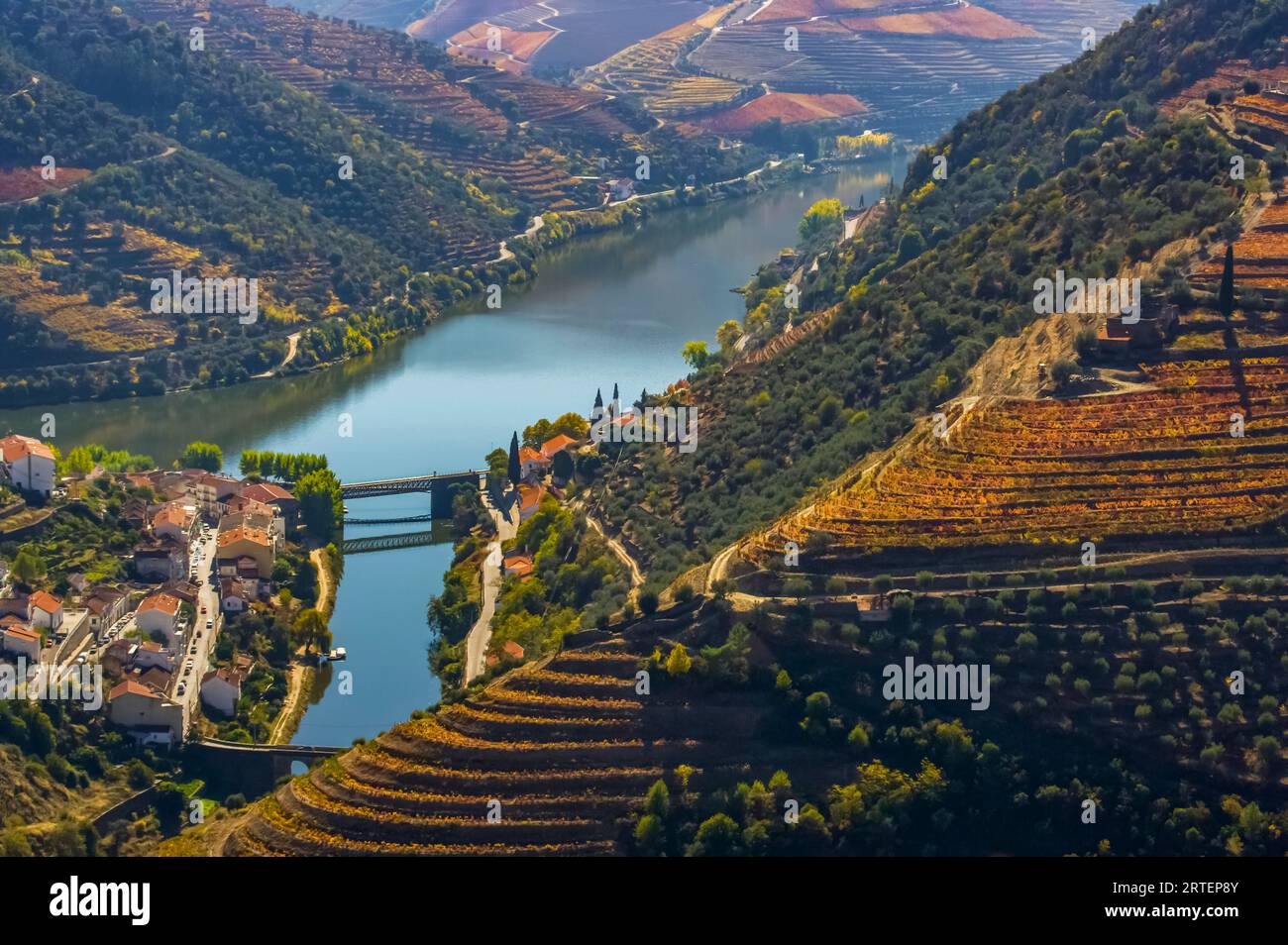 Vignobles en terrasses au-dessus de la rivière Douros, vallée du fleuve Douro au Portugal ; Portugal Banque D'Images