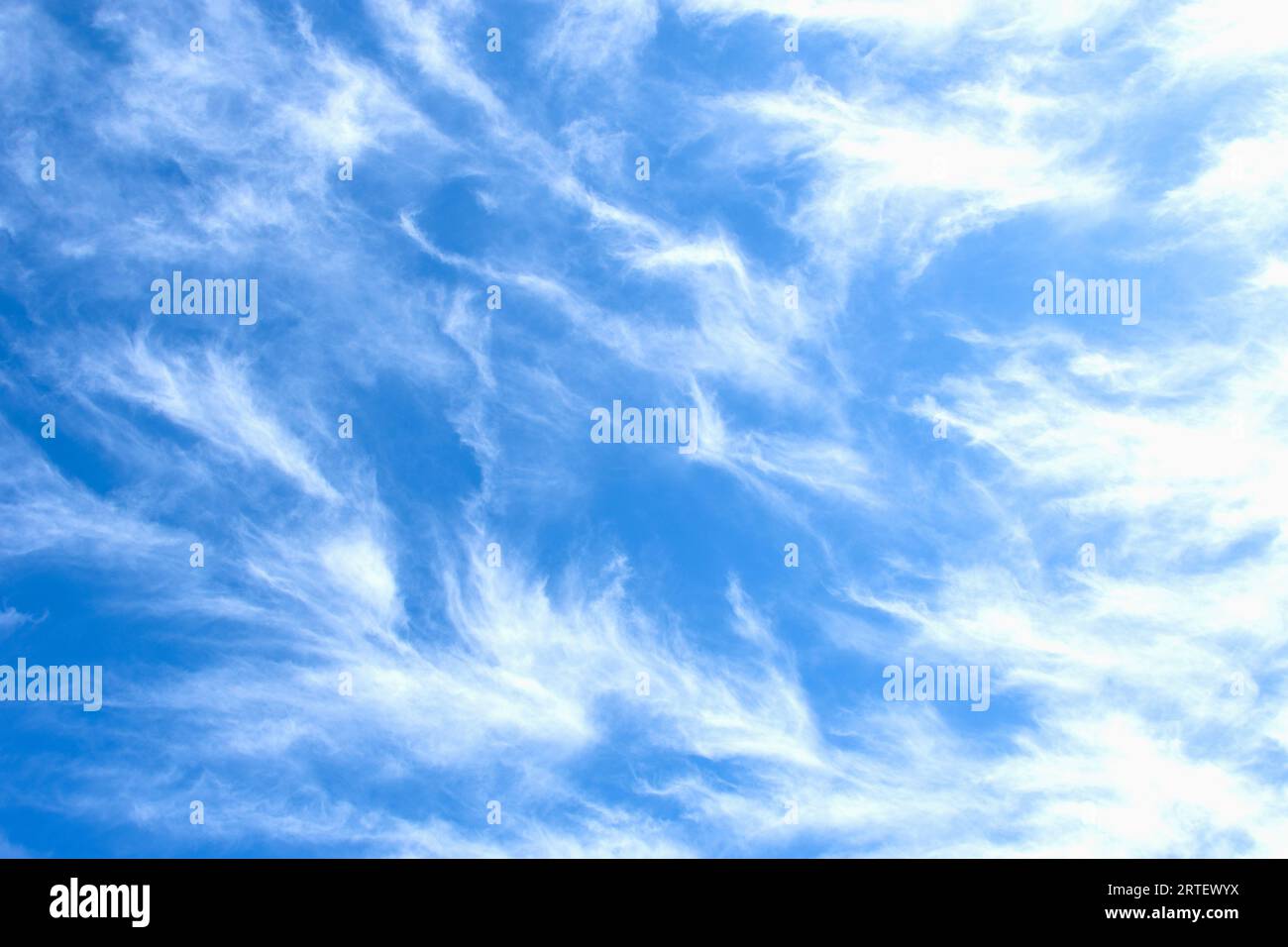 Nuages blancs Cirrus uncinus contre bleuté Banque D'Images